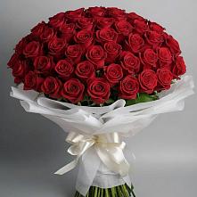 Букет 101 Красная роза Блэк Мэджик в Новое