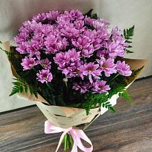 Букет цветов из:  Хризантемы #REPLACE_PRED# Новое