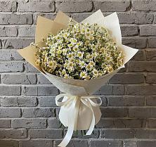 Букет цветов из:  Ромашки #REPLACE_PRED# Новое