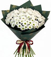 Букет цветов из:  Хризантемы в Новое